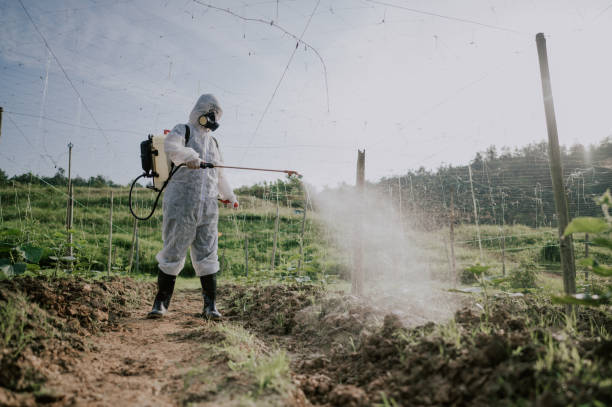 Best Local Pest Control Services  in Jellico, TN